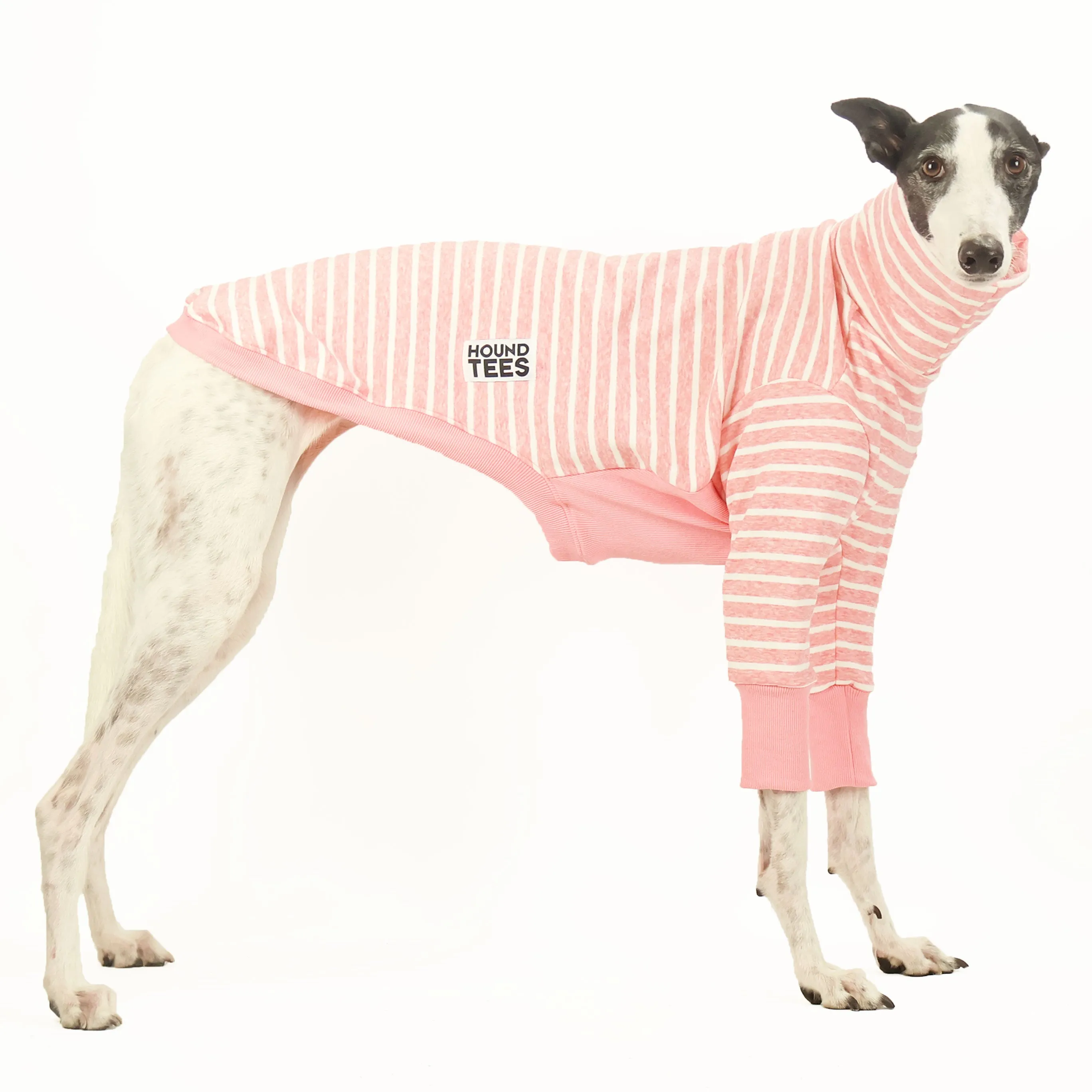 Milkshake Greyhound Sweater