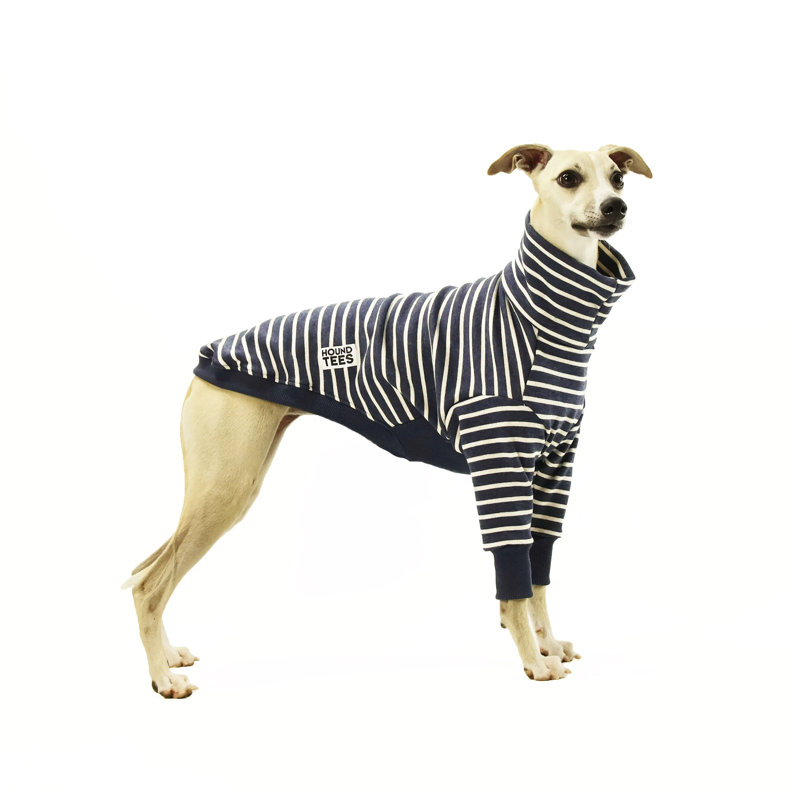 Pupperchino Whippet Sweater