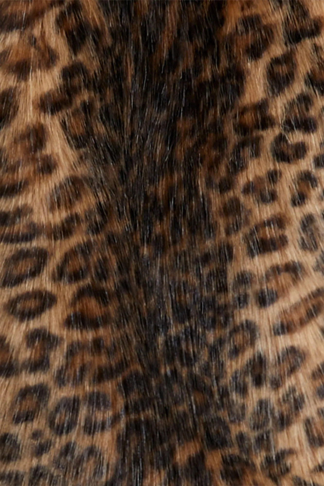 Wild Cat Jacket